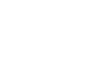 mesterbedrift logo
