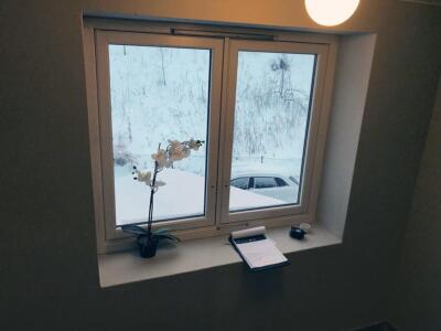 Grønlibakken, Takst og Vindu